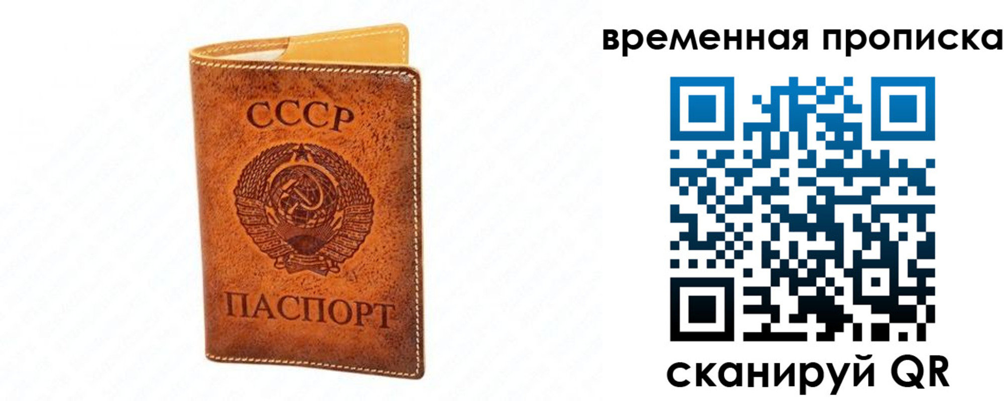 временная прописка в Камешково